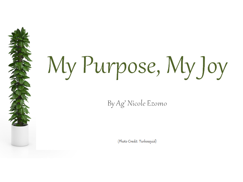 My Purpose, My Joy