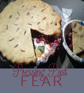 Blackberries - Pressing Past Fear | Blogs by Christian Women