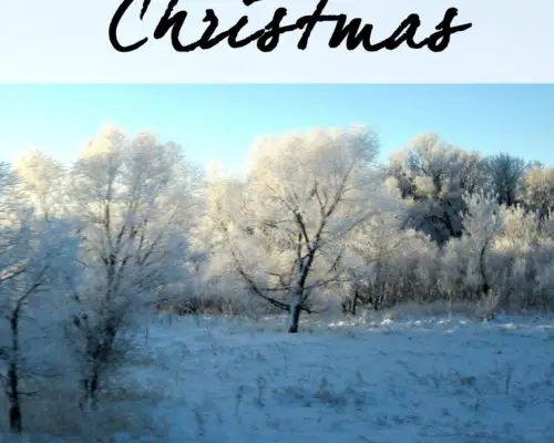 Hope in the Holidays Christmas Blog Tour | Day 1