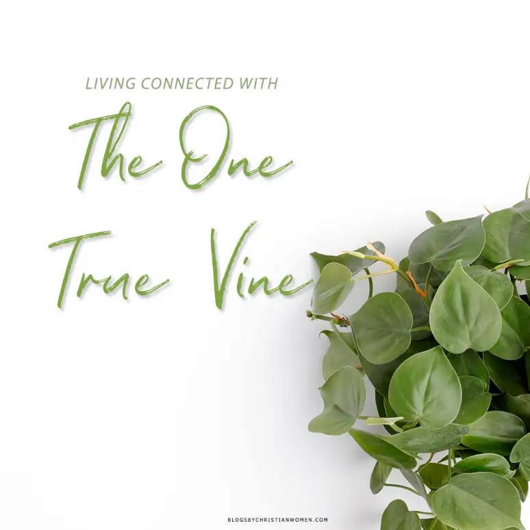 Green Leafy Vine