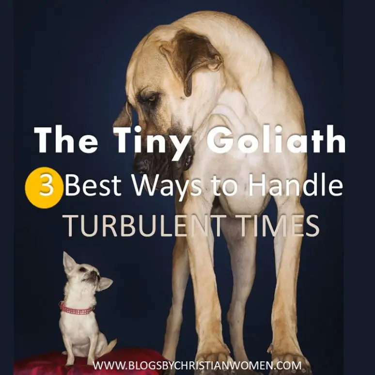 How to Handle Life's Tiny Goliath